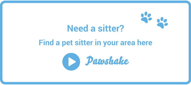 Book a cat sitter today