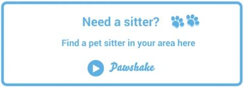 Book a Pawshake pet sitter